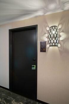 The Delaney Hotel photo 3