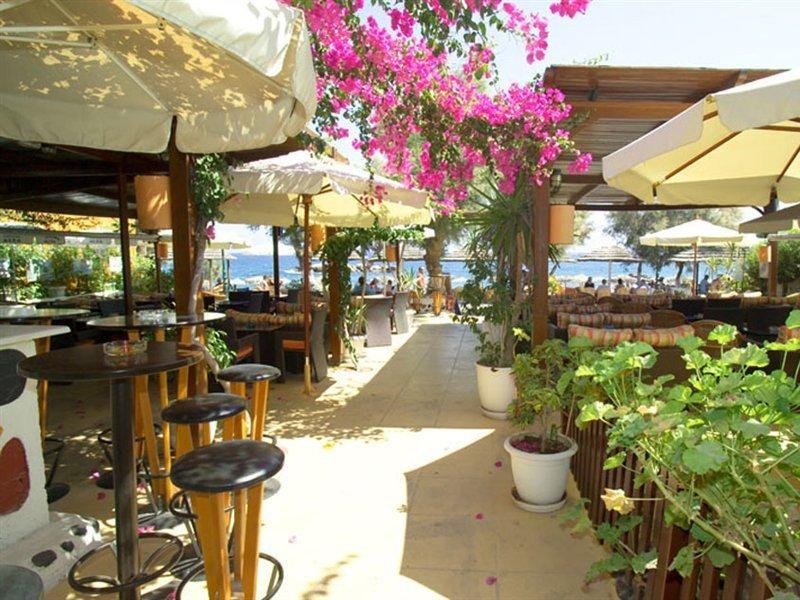 Nostos photo 2