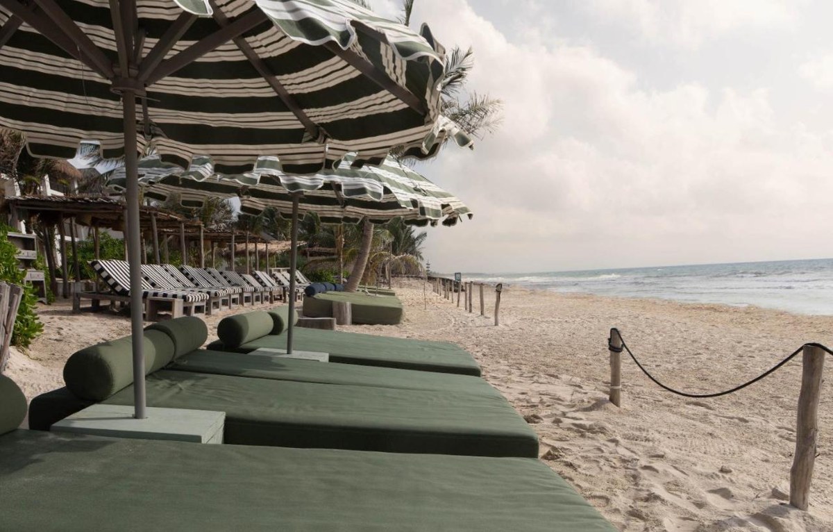 SUITES PANAMERA photo 3