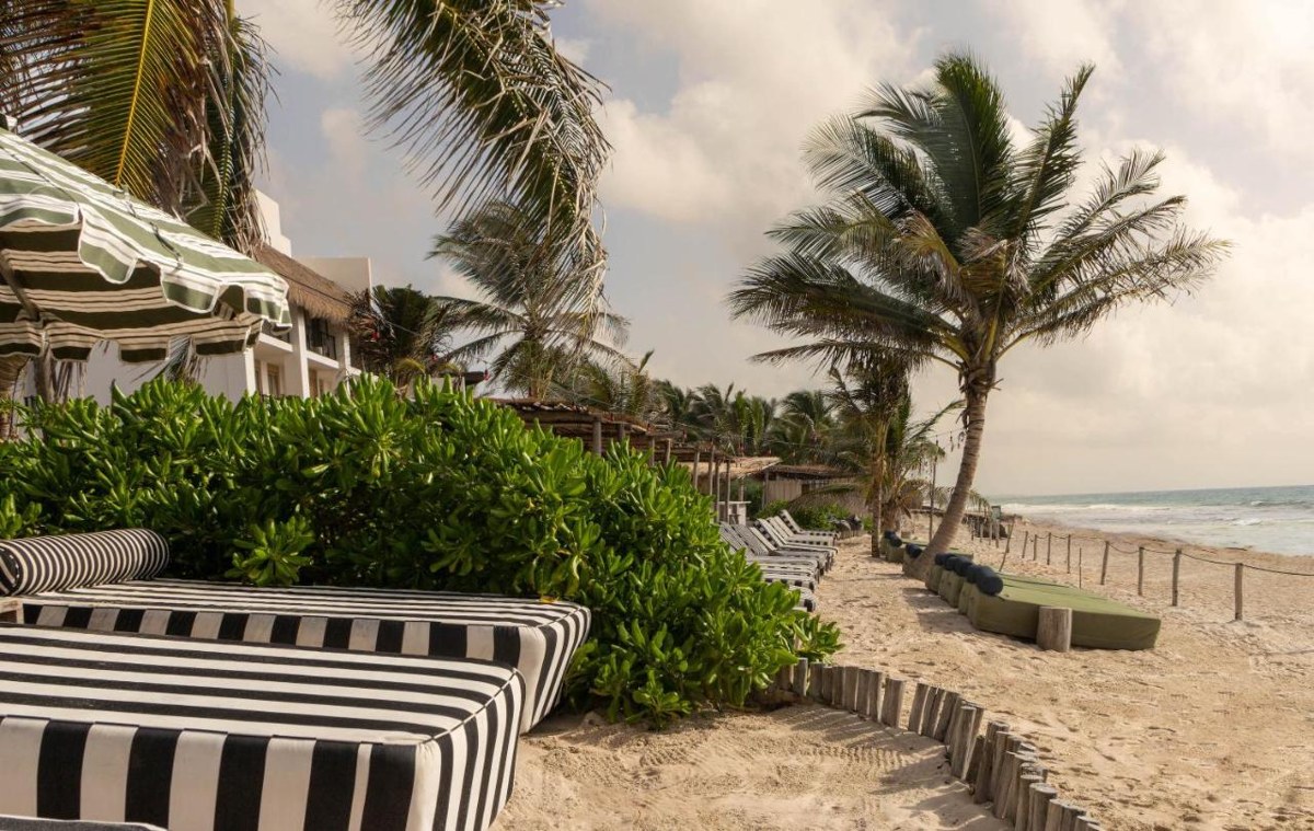 SUITES PANAMERA photo 4